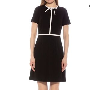 NEW ALEXIA ADMOR Eira A-line Mini Dress Size: XL
